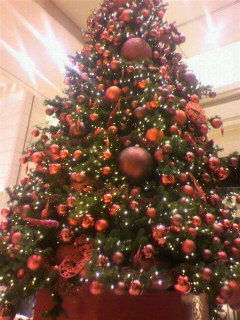 f0197497_0471714.jpg