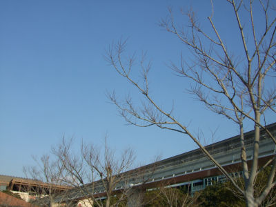 a0129503_20584987.jpg