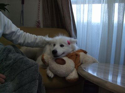d0149103_20371326.jpg