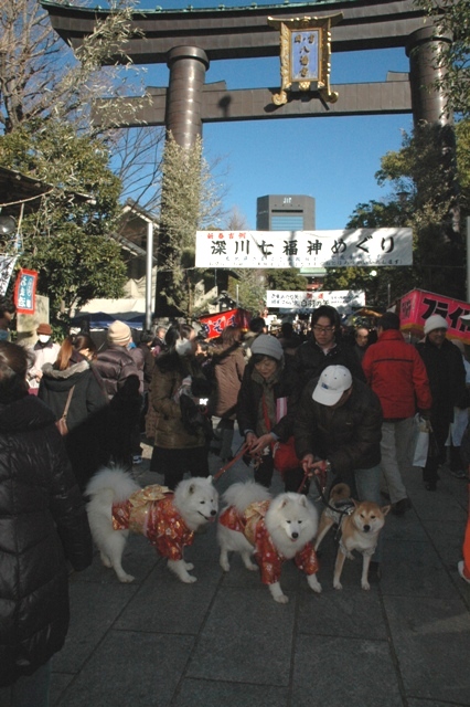 富岡八幡宮～♪　　　1月Ⅰ日　[金]_e0018604_21344620.jpg