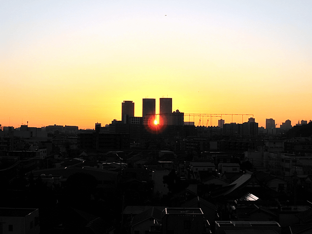 a0006605_837018.gif
