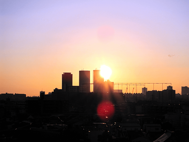 a0006605_8374413.gif