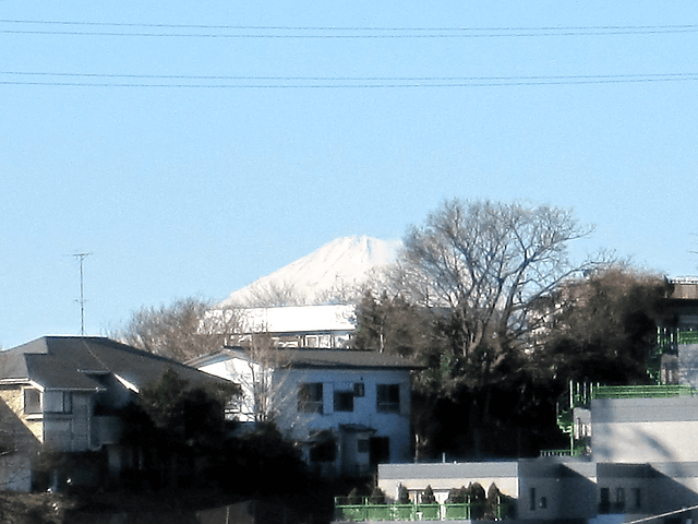 a0006605_8384146.gif