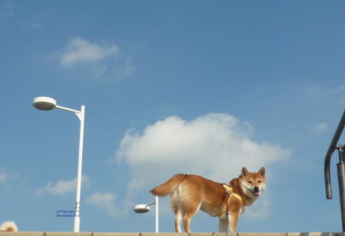 e0131506_23551429.jpg