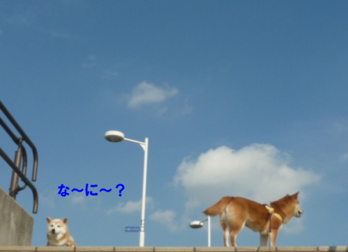 e0131506_23554084.jpg
