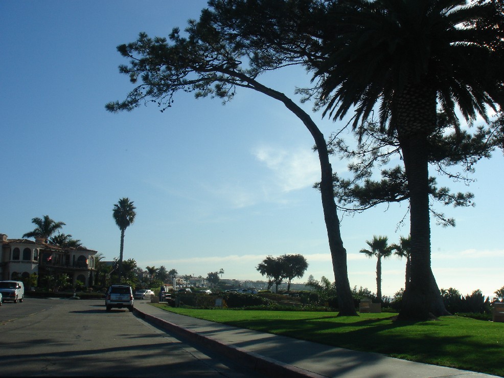 b0028312_12433658.jpg