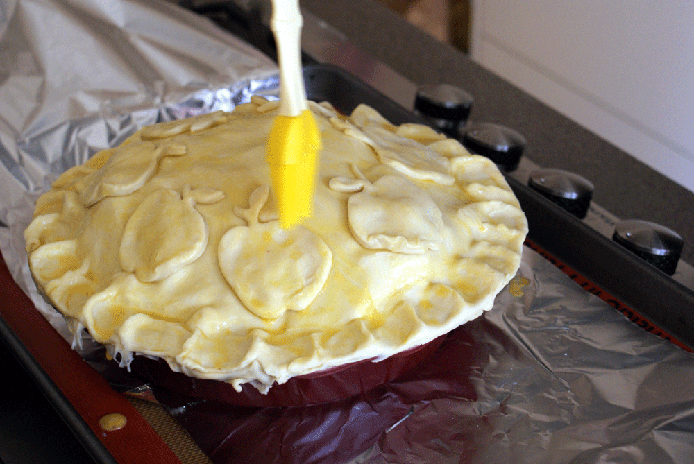 f0208017_1575924.gif