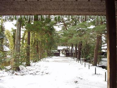 新年のご挨拶　清水園_e0135219_938410.jpg