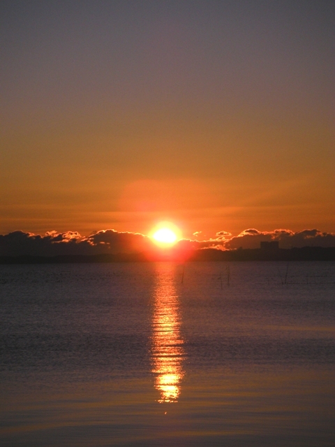 b0136223_9138.jpg