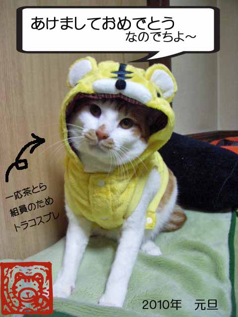 あけしておめでとうございます_d0081025_1301698.jpg