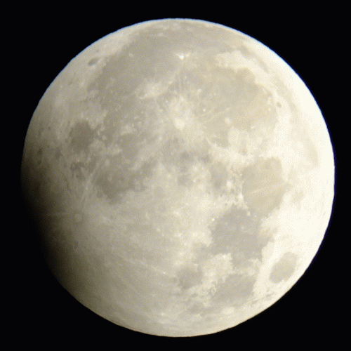 e0089232_1632388.gif