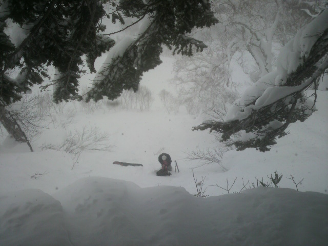 2010_e0173533_18473770.jpg