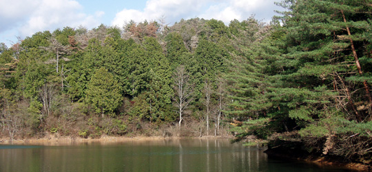 b0169939_0442370.jpg