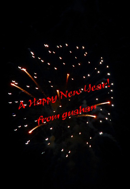 a happy new year!_c0105739_9195989.jpg