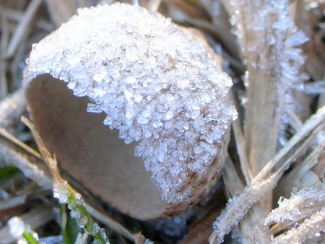 d0113340_21222949.jpg