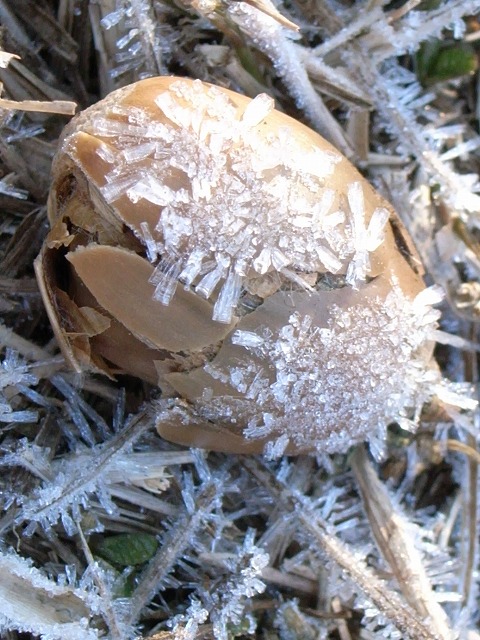 d0113340_21224275.jpg