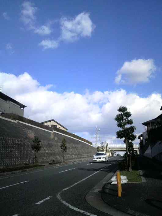 a0095546_03418.jpg