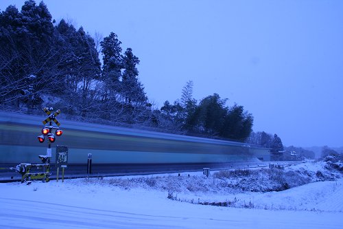 f0048546_814467.jpg