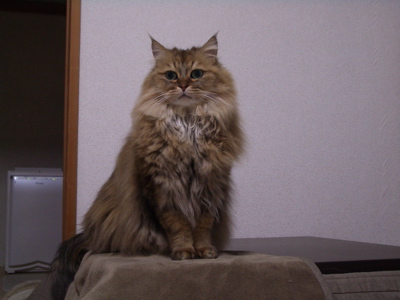 d0000547_1865072.jpg