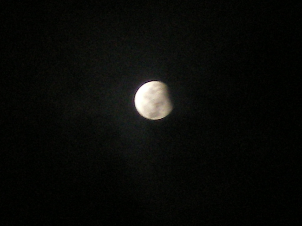 e0107561_5314018.jpg