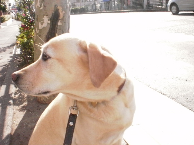 f0052277_0551930.jpg