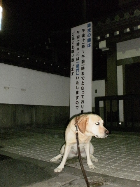 f0052277_0593888.jpg