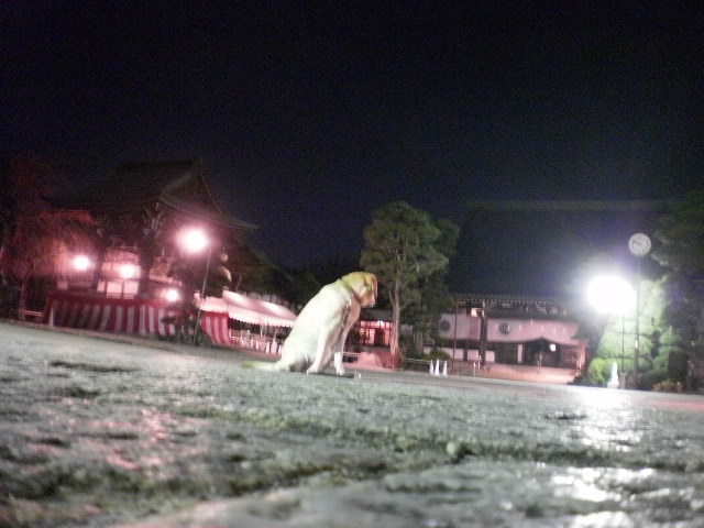f0052277_05959.jpg