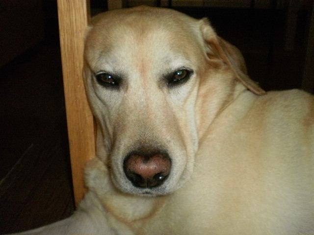 f0052277_101211.jpg