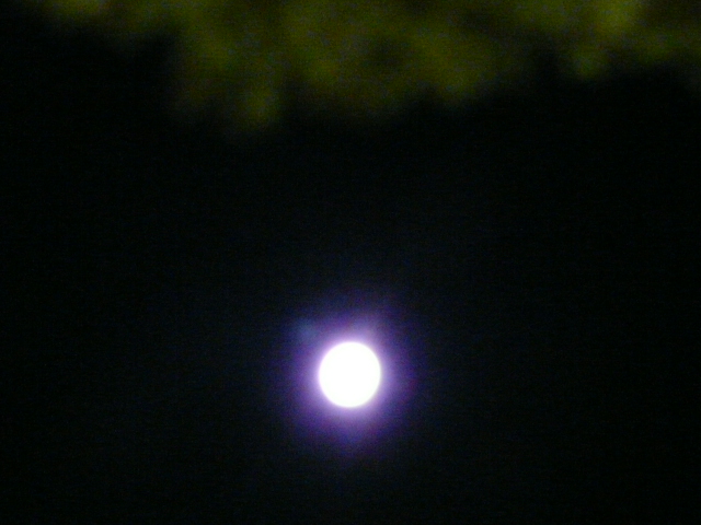 e0145782_8114128.jpg