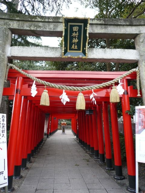2009-2010 讃岐うどん自転車ツアー Part2_f0097683_21353476.jpg