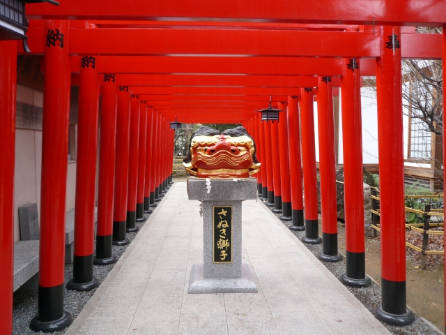 2009-2010 讃岐うどん自転車ツアー Part2_f0097683_21353847.jpg