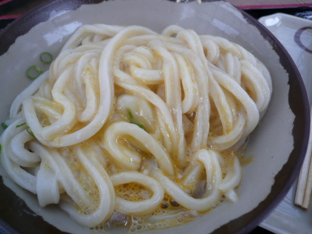 2009-2010 讃岐うどん自転車ツアー Part2_f0097683_21364147.jpg
