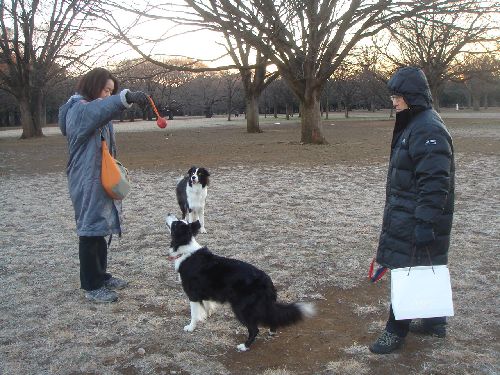 Ｙ公園の元旦　　　２０１０／０１／０１_b0101991_16372530.jpg