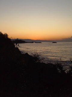 d0083395_14442951.jpg