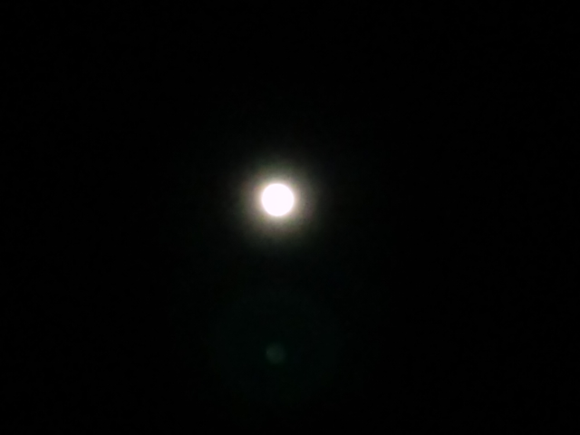 a0088007_2491230.jpg