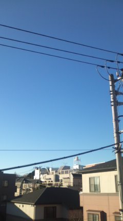 今日の方が清々しい_e0069433_8132612.jpg