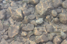a0133338_1655632.jpg