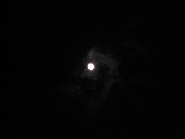 c0197961_1131036.jpg