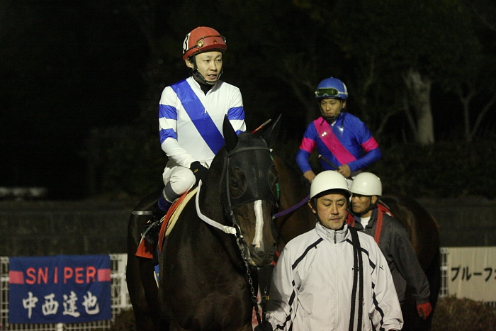 2010年1月2日（土） 高知競馬 10R お年玉特別 C1 選抜馬_a0077663_2051065.jpg