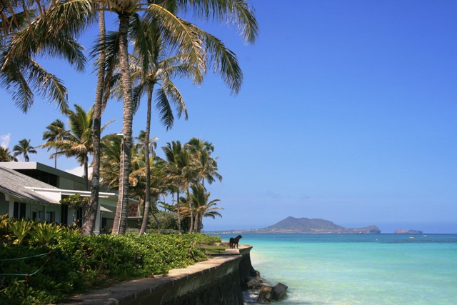 c0225766_2335070.jpg