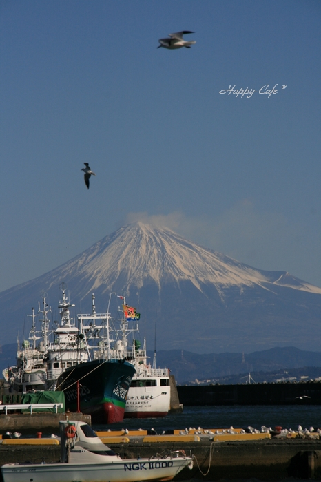 富士山と大漁旗_e0148667_11113266.jpg