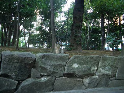 炊き出しボランティア日記’09-’10越年越冬増刊号Vol4_f0021370_0582148.jpg