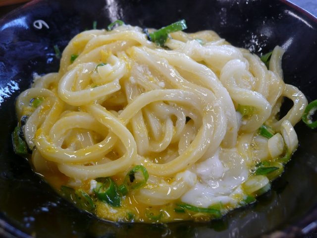 2009-2010 讃岐うどん自転車ツアー Part3_f0097683_0201997.jpg