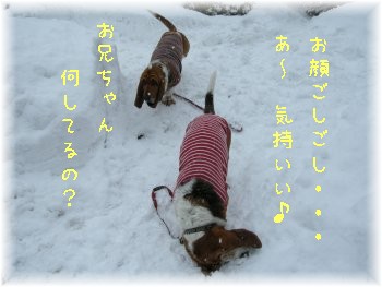 雪遊び・・・・・♪_f0205887_205254.jpg