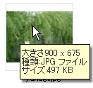 ファイルサイズは、アイコン・オンマウスで出ますよね？＜XP_a0024690_2122354.gif