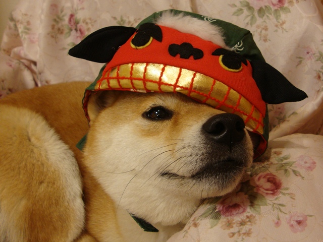 元旦です。スタートです。_a0126590_134927.jpg