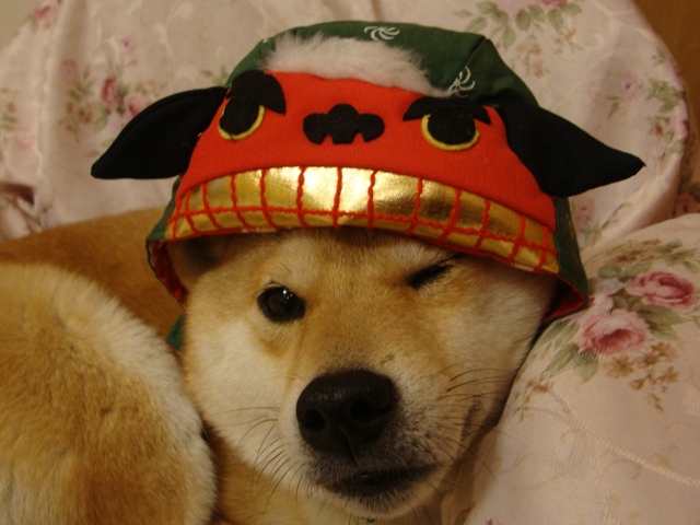 元旦です。スタートです。_a0126590_14141.jpg