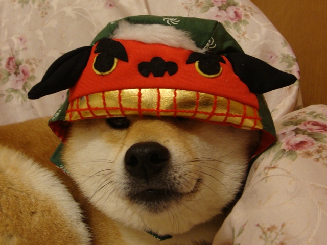 元旦です。スタートです。_a0126590_1459100.jpg