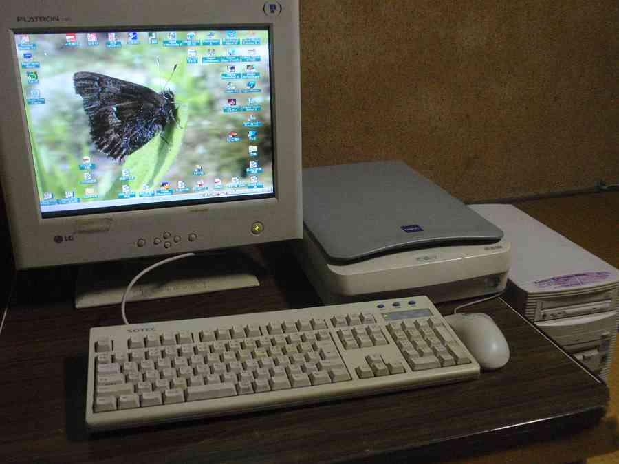 a0152692_8264118.jpg