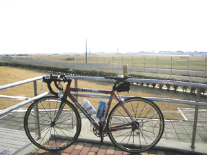 b0174996_15332046.gif